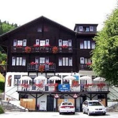 托尔贡酒店 Vionnaz 外观 照片